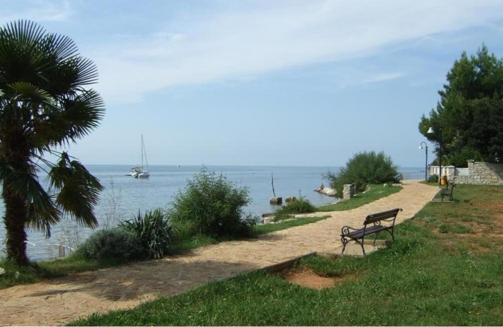 Apartment Villa Angelina, 70M From The Beach, Free Parking Novigrad  Екстер'єр фото