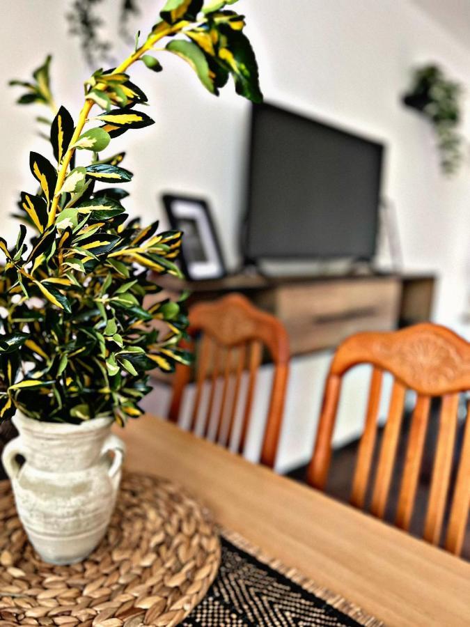 Apartment Villa Angelina, 70M From The Beach, Free Parking Novigrad  Екстер'єр фото