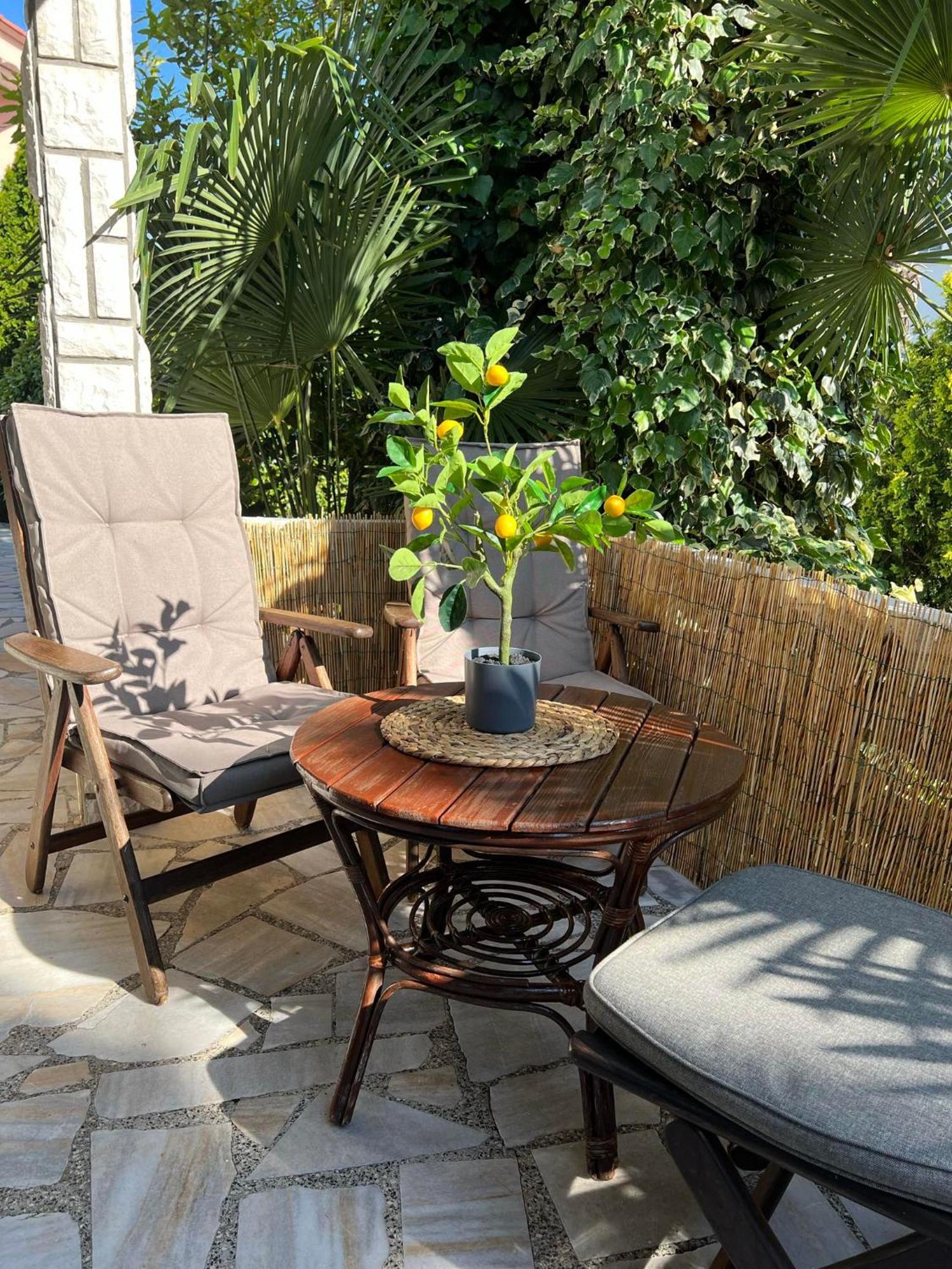 Apartment Villa Angelina, 70M From The Beach, Free Parking Novigrad  Екстер'єр фото