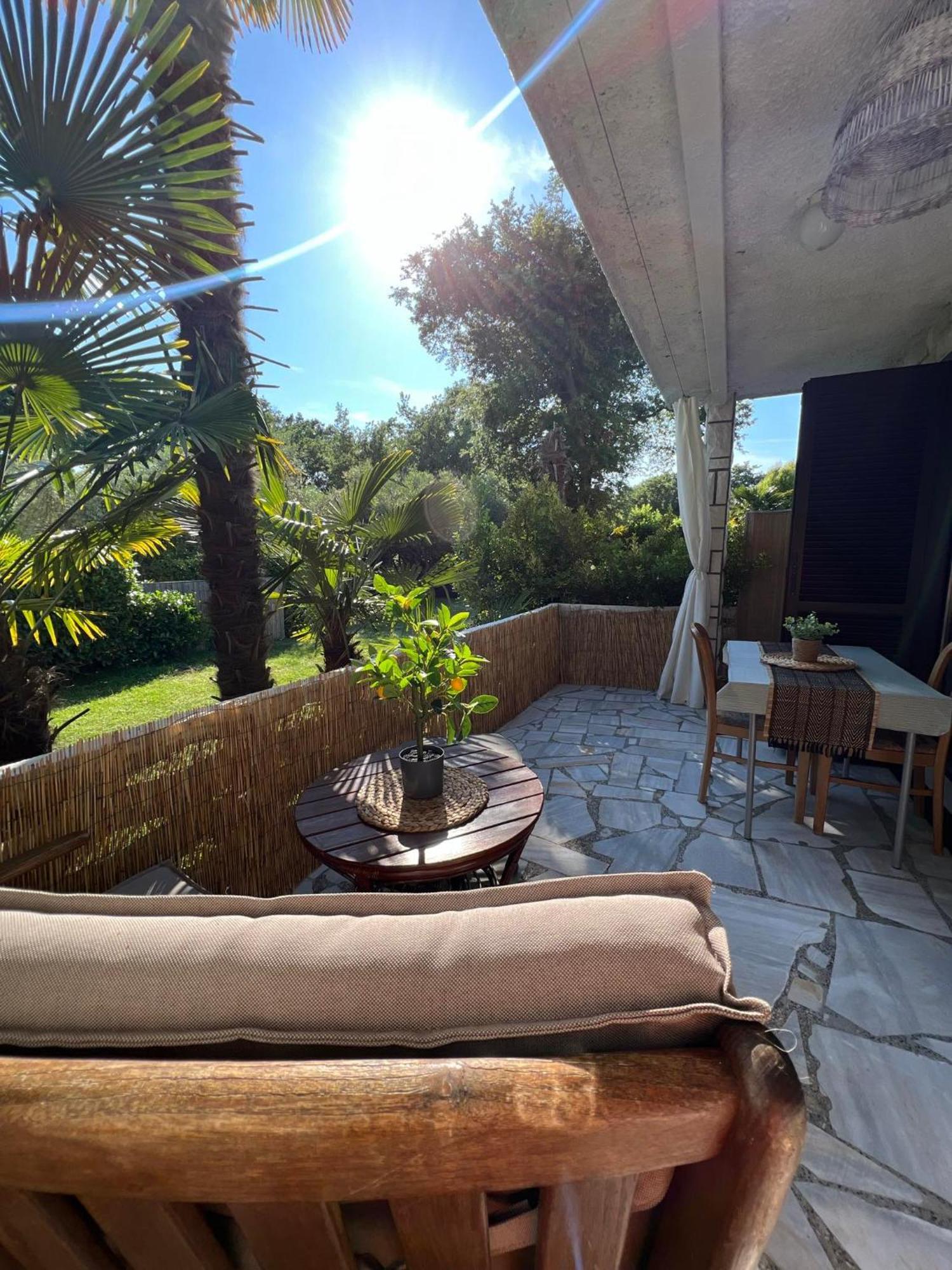 Apartment Villa Angelina, 70M From The Beach, Free Parking Novigrad  Екстер'єр фото